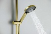 Душевой гарнитур Aquatek Лугано AQ2022BG шлифованное золото