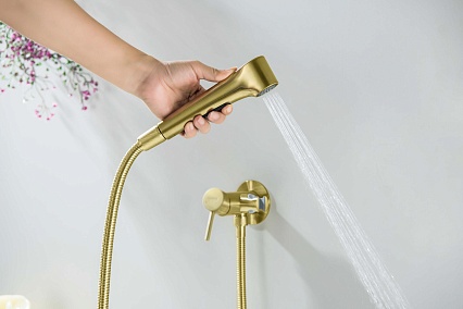 Смеситель Aquatek Европа AQ1020BG с гигиеническим душем, шлифованное золото Смеситель Aquatek Европа AQ1020BG с гигиеническим душем, шлифованное золото