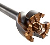 Бур пробойный SDS-max (65x990 мм) PROJAHN 818065990