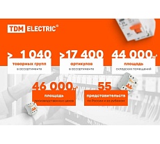 Бур по бетону Рубин 10х210х150 мм, SDS-Plus, 2 резца, пластиковый держатель, 1 шт TDM ELECTRIC SQ1094-0108