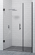 Душевая дверь RGW Hotel HO-012B 100x195, прозрачное стекло, черный