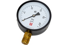 Манометр ДМ 1 Т2 100 Р (0-25) бар, кл.1.5, G1/2&quot; BD 1151100016