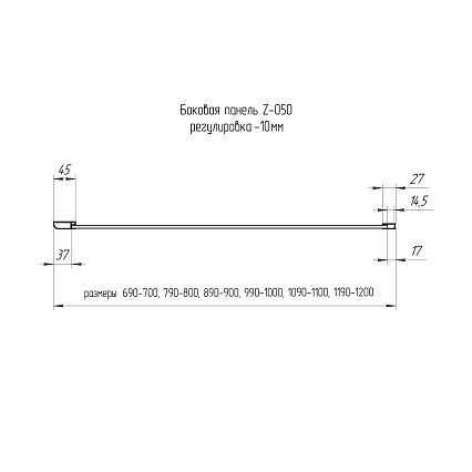 Боковая стенка RGW Z-050-3B 100x200 черный, прозрачное