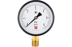 Манометр ДМ 1 Т2 100 Р (0-6) бар, кл.1.5, G1/2&quot; BD 1151100018