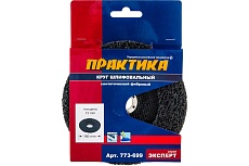 Круг абразивный синтетический торцевой (180x22.2 мм) Практика 773-699