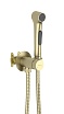 Смеситель Aquatek Европа AQ1020BG с гигиеническим душем, шлифованное золото