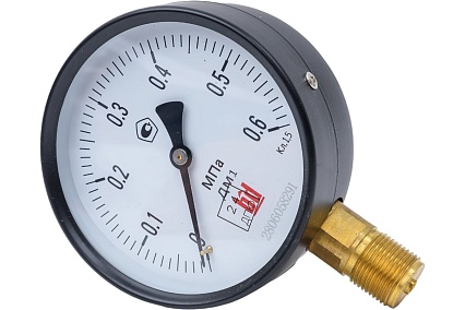 Манометр ДМ 1 Т2 100 Р (0-0.6) МПа, кл.1.5, М20x1.5 BD 1151100002