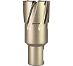 Сверло корончатое твердосплавное Weldon 19 (31х35х75 мм) Tideway AC123127