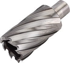 Сверло кольцевое (36х55 мм; HSS; Weldon 19) Euroboor HCL.360