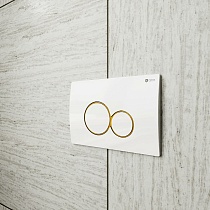 Кнопка смыва Point Виктория PN44061WG белый/золото