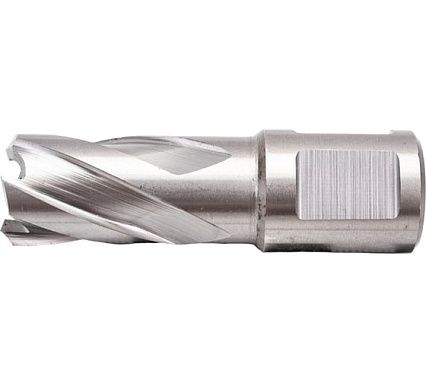 Сверло корончатое HSS по металлу (17х30/63 мм; Weldon 19) D.BOR CD-HSS-030-017-W