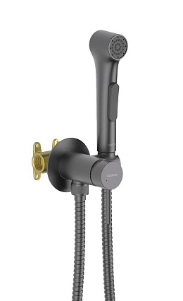 Смеситель Aquatek Европа AQ1020BGM с гигиеническим душем, оружейная сталь Смеситель Aquatek Европа AQ1020BGM с гигиеническим душем, оружейная сталь