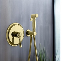 Смеситель Aquatek Классик AQ1519PG с гигиеническим душем, полированное золото