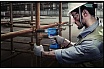 Аккумуляторный гайковерт Bosch GDS 250-LI 0.601.9G6.120
