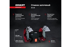Заточной станок Gigant Professional ZS-20 200Вт, 2950 об/мин, диаметр круга 125мм Gigant GP-200