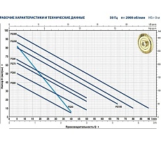 Насос Pedrollo PQm 60 41PNQ60A1