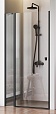 Душевая дверь Am.Pm Sunny W87G-100-1P-BT 100x190 прозрачное, черный матовый