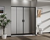 Душевая дверь Vincea Сити (City) VDS-5CT2170CLB 170x195 черный, прозрачная