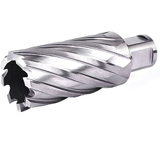 Фреза кольцевая №30 (36х55/88 мм; WELDON19; HSS M2) Профоснастка 40101030