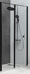 Душевая дверь Allen Brau Priority 100x200 3.31006.BBA  прозрачная, черный браш