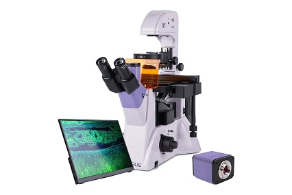 Люминесцентный инвертированный цифровой микроскоп MAGUS lum vd500 lcd 83021