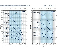 Насос Pedrollo 3SR 2m/28 P 0.75 кВт 4931228PLA1
