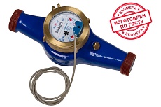 Счетчик воды ЭКО-М ЭКОМЕРА-32И холодный импульсный (чугун) Э-32ХИ-260-СК
