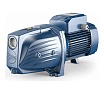 Насос Pedrollo JSWm 3 BL 46JS8AL10A1