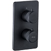 Смеситель для душа Allen Brau Priority 5.31113-31 термостат, черный матовый