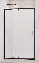 Душевая дверь RGW Passage PA-008B 100x195, матовое, черный 350800801-24