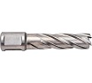 Сверло кольцевое (16х55 мм; HSS; Weldon 19) Euroboor HCL.160