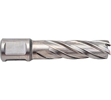 Сверло кольцевое (16х55 мм; HSS; Weldon 19) Euroboor HCL.160