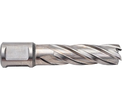 Сверло кольцевое (16х55 мм; HSS; Weldon 19) Euroboor HCL.160