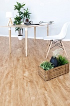 SPC ламинат Alpine Floor Classic Бук 1220x183x4,0 мм, ECO 152-9 MC