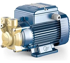 Насос Pedrollo PVm 60 - NBR 41PNV60A1