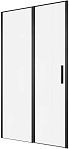 Душевая дверь Allen Brau Priority 100x200 3.31030.BBA прозрачная, черный браш
