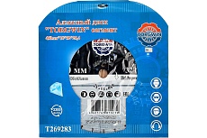 Диск алмазный сегментный 450x10x32/25.4 мм TORGWIN T269283