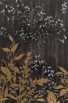 Плитка Fap Ceramiche Bloom Dandelion Inserto Mix 3 160x240 см, fOXN