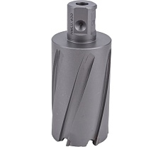 Сверло кольцевое (40х55 мм; TCT; Weldon 19/One-touch) Euroboor HMLU.400