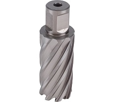Фреза кольцевая HSS (29x55 мм; Weldon 19) Rotorica RT.4215029