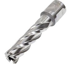 Фреза кольцевая HSS (14x50 мм) Rotorica RT.4215014