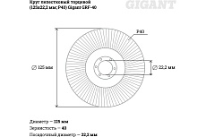 Круг лепестковый торцевой (125x22.2 мм; P40) Gigant GRF-40