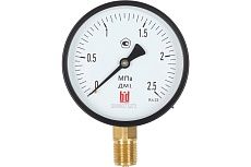 Манометр ДМ 1 Т2 100 Р (0-2.5) МПа, кл.1.5, М20x1.5 BD 1151100004