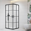 Душевой уголок RGW Passage PA-34B 90x90 с рисунком, черный 06083499-84