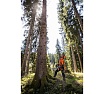 Бензопила Stihl MS 462 C-M 20" Rollomatic ES Light 11422000127