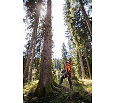 Бензопила Stihl MS 462 C-M 20&quot; Rollomatic ES Light 11422000127