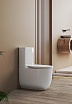 Унитаз-компакт Aquatek Optima Plus AQ4452-00 безободковый, смыв торнадо, с микролифтом