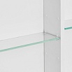 Зеркальный шкаф Акватон Асти 50 см белый