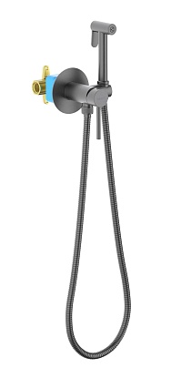 Смеситель Aquatek Европа AQ1021BGM с гигиеническим душем, оружейная сталь Смеситель Aquatek Европа AQ1021BGM с гигиеническим душем, оружейная сталь