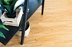 SPC ламинат Alpine Floor Sequoia Royal 1220x183,0x4,0 мм, ECO 6-4 Mineral Core